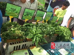 三亞市扶貧農(nóng)產(chǎn)品展銷會(huì) 農(nóng)副產(chǎn)品引圍觀，創(chuàng)意無限人潮涌動(dòng)