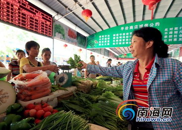 海南將建立東西部蔬菜交易市場(chǎng)，減免市場(chǎng)攤位費(fèi)助力農(nóng)副產(chǎn)品流通