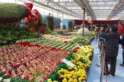 臺(tái)灣特色農(nóng)產(chǎn)品首次亮相北京農(nóng)業(yè)嘉年華